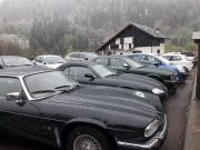 2019 - Jaguar in Friuli (27-28 Aprile) (14/29)